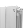 Биметаллический радиатор отопления Royal Thermo PianoForte 300 белый 8 секций